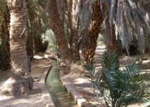 Festival de l’oasis du Guir à Boudnib Festival de l’oasis du Guir à Boudnib