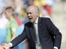 Sabella : Pas de critique particulière Sabella : Pas de critique particulière