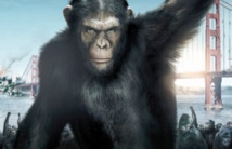 “La planète des singes” de retour sur les écrans “La planète des singes” de retour sur les écrans