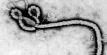 Ebola perturbe le trafic aérien et le foot en Afrique de l'Ouest Ebola perturbe le trafic aérien et le foot en Afrique de l'Ouest