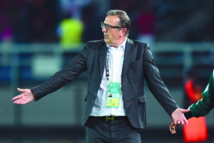 Leekens furieux contre l’arbitre et le penalty Leekens furieux contre l’arbitre et le penalty