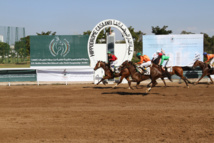 Le cheval Striving remporte le titre Le cheval Striving remporte le titre