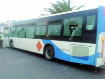 Interpellation à Agadir de 9 présumés hooligans dont 4 mineurs Interpellation à Agadir de 9 présumés hooligans dont 4 mineurs