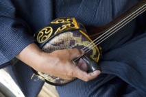 Le sanshin, instrument de Musique en peau de serpent d'Okinawa, défie le temps