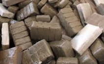 Des plongeurs de la Gendarmerie Royale découvrent 1,275 tonne de chira dans l'Oued Sebou Des plongeurs de la Gendarmerie Royale découvrent 1,275 tonne de chira dans l'Oued Sebou