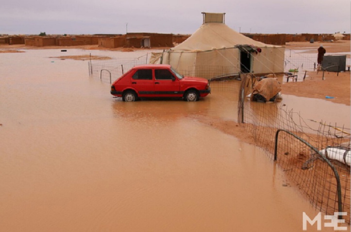 Nouvelles inondations dans les camps de Tindouf Nouvelles inondations dans les camps de Tindouf