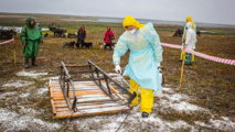­Dans le permafrost, virus et bactéries attendent le dégel