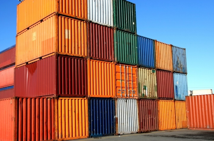 Les conteneurs maritimes servent de vecteurs à la propagation des espèces toxiques