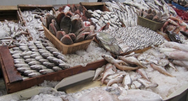 Les débarquements de la pêche côtière et artisanale se chiffrent à près de 4 MMDH