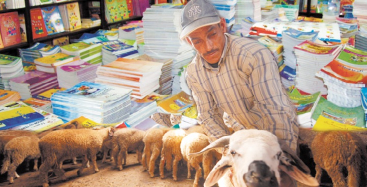 Mouton et rentrée scolaire s’allient pour malmener au mieux les ménages Mouton et rentrée scolaire s’allient pour malmener au mieux les ménages