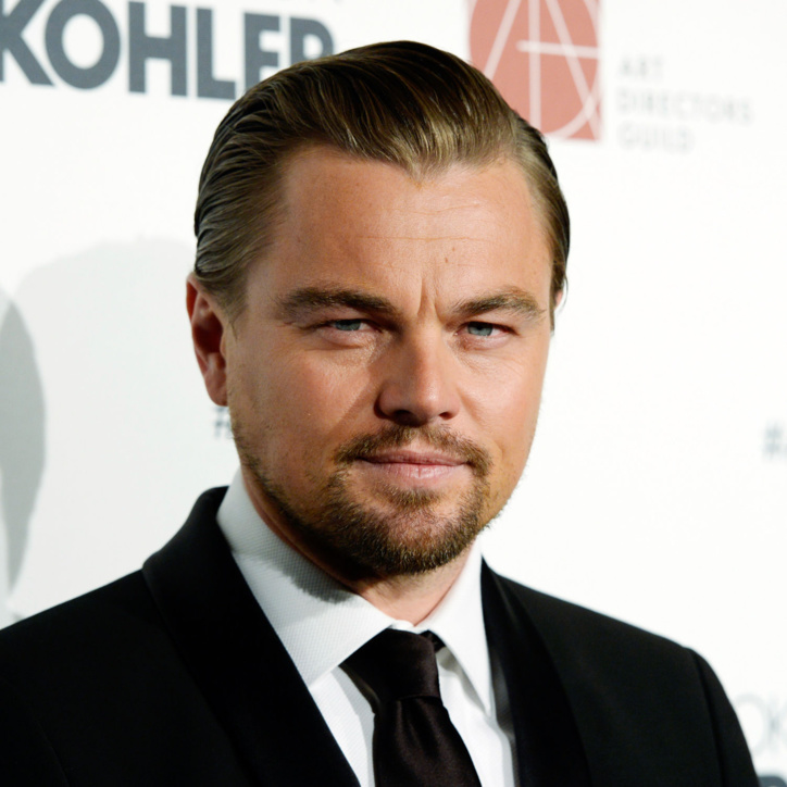 Les stars les plus rentables du box-office Leonardo DiCaprio