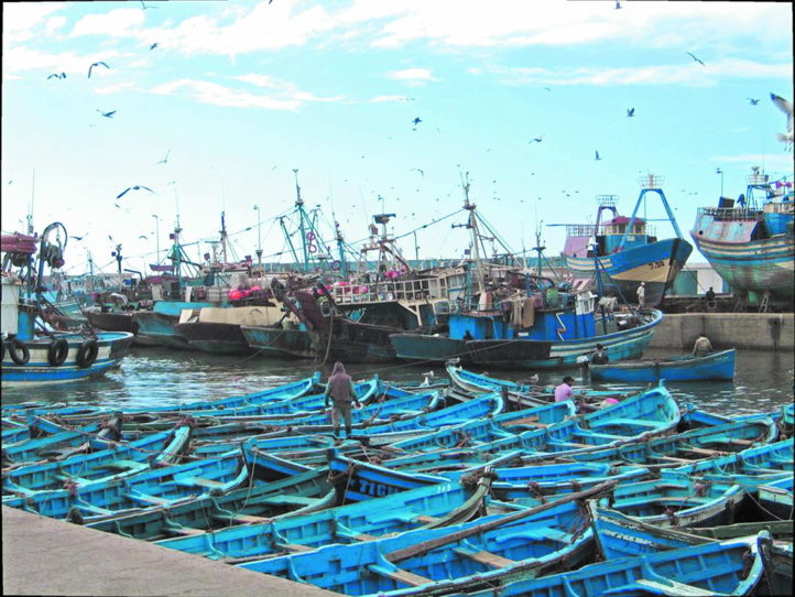 Transformer les impacts du changement climatique en opportunités Transformer les impacts du changement climatique en opportunités