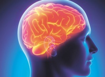 Une commotion cérébrale chez les jeunes peut avoir des effets à long terme Une commotion cérébrale chez les jeunes peut avoir des effets à long terme