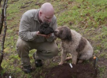 Insolite  : Grosse truffe