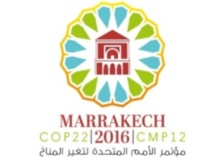 Mobilisation des financements pour que la COP 22 soit celle de l'action Mobilisation des financements pour que la COP 22 soit celle de l'action