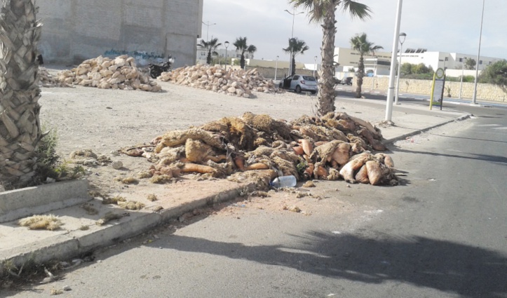 Des pratiques condamnables à l’occasion de l’Aïd à Essaouira Des pratiques condamnables à l’occasion de l’Aïd à Essaouira