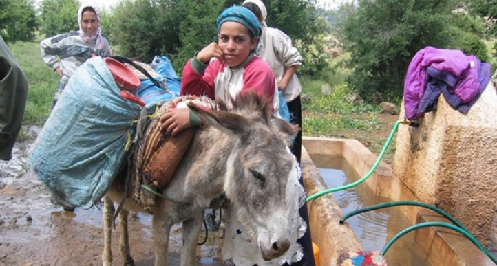 Adopter une approche plus globale de l'économie pour garantir la prospérité à des millions de ruraux Adopter une approche plus globale de l'économie pour garantir la prospérité à des millions de ruraux