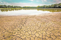 L'irrigation du Moyen-Orient L'irrigation du Moyen-Orient