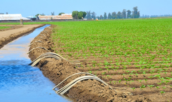 La surface agricole utile au niveau national s’élève à 8,7 millions d’hectares