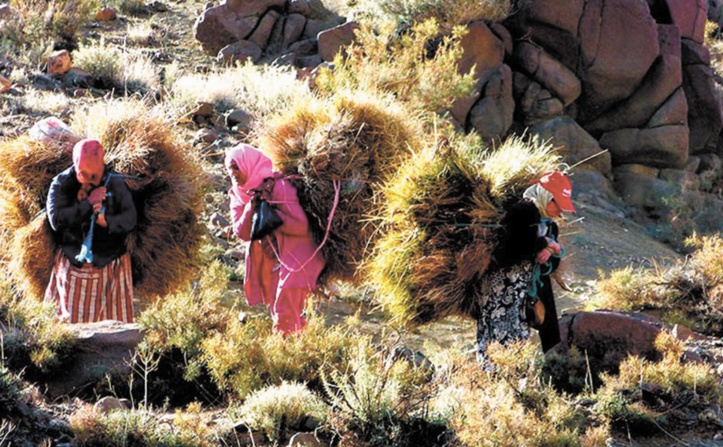 La population nomade au Maroc en fort recul La population nomade au Maroc en fort recul