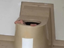 Insolite : Coincé dans les toilettes