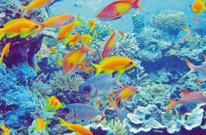 Pour la protection et la lutte contre la pollution du milieu marin Pour la protection et la lutte contre la pollution du milieu marin