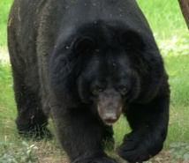 Insolite : Sauvé par le karaté Insolite : Sauvé par le karaté