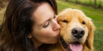 La sociabilité du chien serait génétique