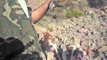 Ouverture de la saison de la chasse