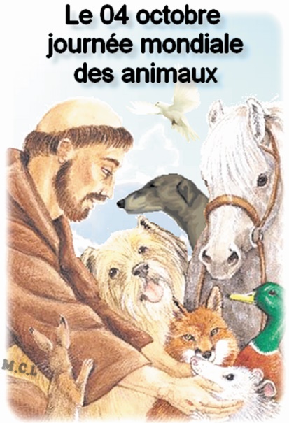 Vers la protection de la vie animale sous toutes ses formes, sauvage et domestique