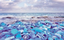 Du déchet sur la plage à l'œuvre d'art Du déchet sur la plage à l'œuvre d'art