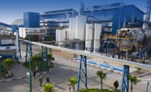 Cosumar enregistre une production de sucre blanc record Cosumar enregistre une production de sucre blanc record