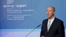 Le DG de l’OMPI salue un succès pour les déficients visuels Le DG de l’OMPI salue un succès pour les déficients visuels