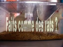 Insolite