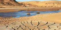 Clôture des travaux du colloque écosystème et changements climatiques" à Casablanca