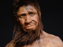 Des gènes néandertaliens derrière les différences ethniques dans la réponse immunitaire Des gènes néandertaliens derrière les différences ethniques dans la réponse immunitaire