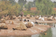 Inauguration du parcours muséographique du Jardin zoologique national Inauguration du parcours muséographique du Jardin zoologique national