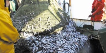 Incitations fiscales au secteur des pêches maritimes