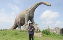En Inde, une "princesse aux dinosaures" veille sur ses sujets fossilisés