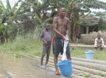 Au Sénégal, la préservation de la mangrove est une question de survie Au Sénégal, la préservation de la mangrove est une question de survie