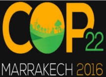 Au jour le jour : COP22 ou la frénésie médiatique Au jour le jour : COP22 ou la frénésie médiatique