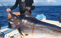 Au jour le jour : Eperon fatal ! Au jour le jour : Eperon fatal !