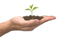 Je plante, donc je suis Je plante, donc je suis