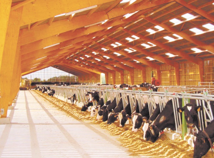 L’utilisation des antibiotiques dans les exploitations agricoles mise à l’index L’utilisation des antibiotiques dans les exploitations agricoles mise à l’index