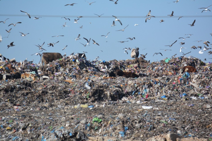 La décharge de Médiouna renaît de ses relents La décharge de Médiouna renaît de ses relents