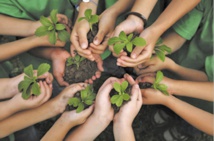 Des artistes se mobilisent pour l’environnement à Agadir