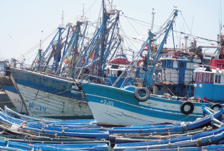 Hausse des débarquements de la pêche côtière et artisanale Hausse des débarquements de la pêche côtière et artisanale