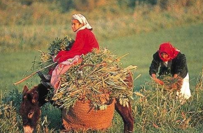 Lancement à Ifrane du programme "Empowering Women in the Atlas"