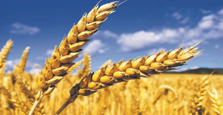 Les produits alimentaires gardent la cote