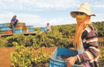 Lutter contre les inégalités dans la région Proche-Orient et Afrique du Nord Lutter contre les inégalités dans la région Proche-Orient et Afrique du Nord